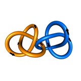 Link of two oriented trefoils